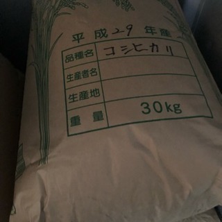 平成29年栃木産玄米コシヒカリ