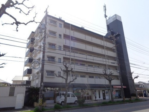 鈴鹿市南玉垣町 3dk 玉垣駅 白子駅 駐車場有 駐輪場有 ペット可 イオンタウン前 川本マンション3号室 303号室 イクメン大家さん 白子 のマンションの不動産 住宅情報 無料掲載の掲示板 ジモティー