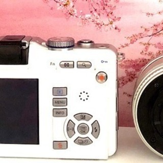 女性に大人気❤️かわいいミラーレス❤️OLYMPUS E-PL1 レンズキット