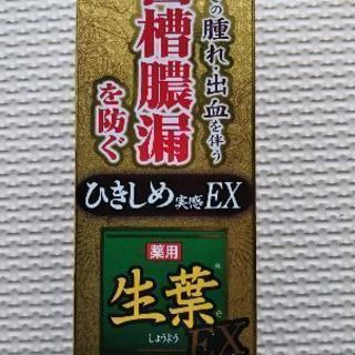 【新品】小林製薬/薬用ハミガキ生葉ひきしめ実感EX
