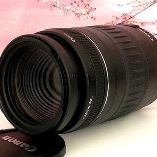 ⭐︎大活躍の300mmの超望遠レンズ⭐︎Canon EF 90-...