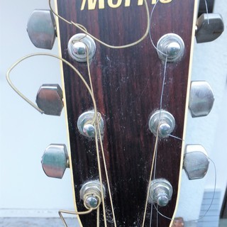 ☆モーリス Morris MF-205 アコースティック ギター スターへの第一歩