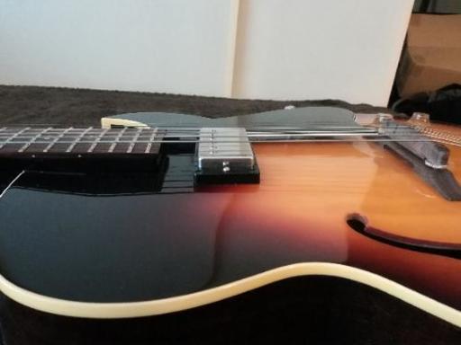Archtop Tribute AT101（新品）【楽器検索デジマート】