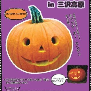 愛知県豊根村　坂口農園主催ハロウィンイベント　パンプキンパーティ...