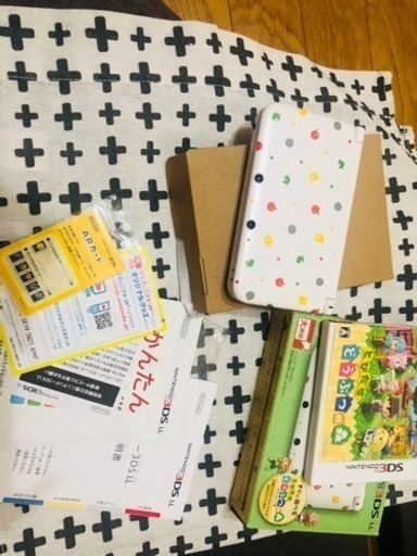 どうぶつの森3DS（付）