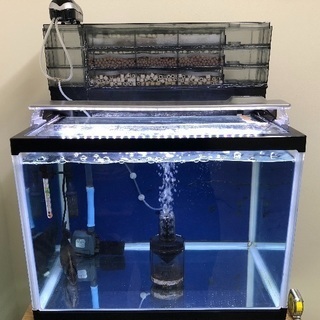 60センチワイド水槽セット一式2台と水槽台 【公式通販】