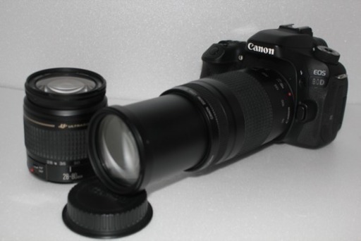 キャノン Canon EOS 80D 標準、望遠ダブルレンズセット 