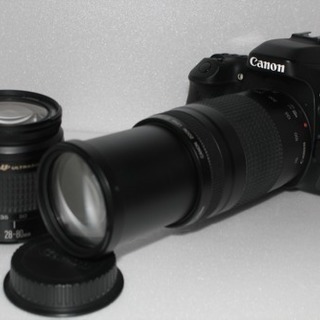 キャノン Canon EOS 80D 標準、望遠ダブルレンズセット www.naim.bg