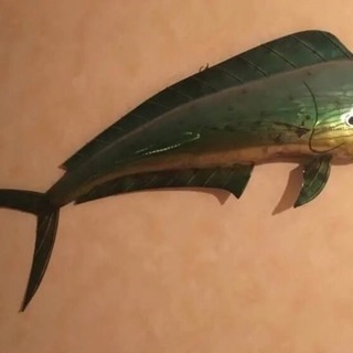 魚の鉄板アート 鉄板細工 シイラ 壁掛け