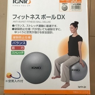 IGNIO フィットネスボール 55センチ