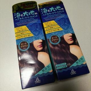 海と大地のヘアカラートリートメント