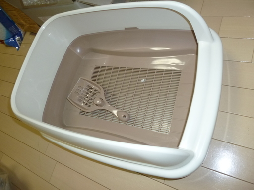 猫を飼う方向け