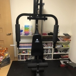 ファイティングロード DXホームジム100