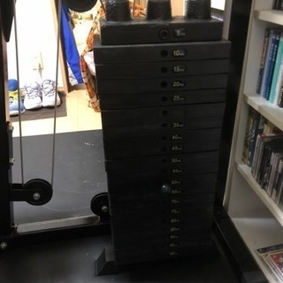 ファイティングロード DXホームジム100 トレーニング