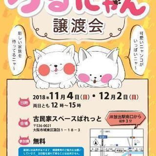 つるにゃん譲渡会