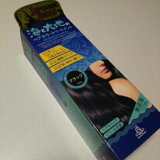 海と大地の ヘアカラートリートメント (ブラック)