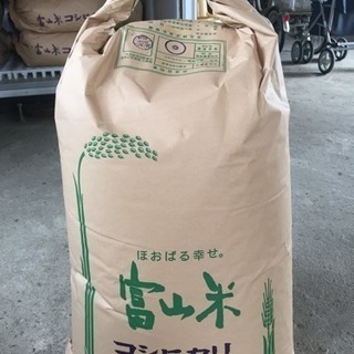 富山県県産コシヒカリ30kg 5袋セット