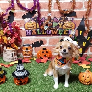 🎃10月の写真ブース🎃