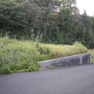 鹿児島県西之表市西之表【契約済】造成済