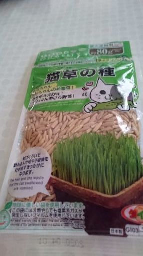 猫草の種 あずさ 熊谷のその他の中古あげます 譲ります ジモティーで不用品の処分