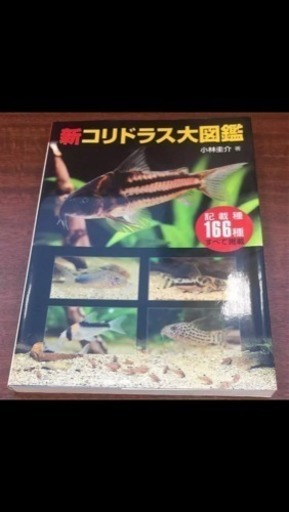 新コリドラス大図鑑 最終値下げ やす 尼崎のその他の中古あげます 譲ります ジモティーで不用品の処分