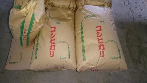 新米コシヒカリ玄米30kg