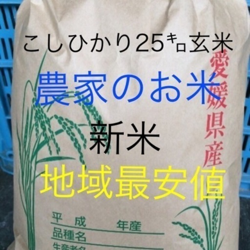 渡部家の新米こしひかり 25㎏  玄米