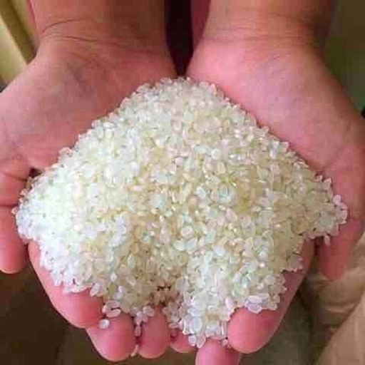 渡部家の新米こしひかり 25㎏  玄米