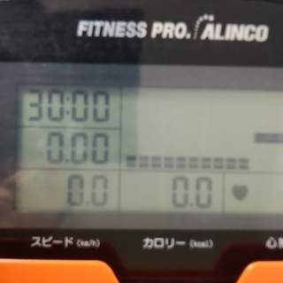 アルインコ　電動ルームランナーAFJ3615黒　床マットEXP１５０付き　美品　調子良いです。　