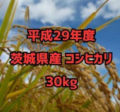 【2袋限定】平成29年度 茨城県産 コシヒカリ 30kg
