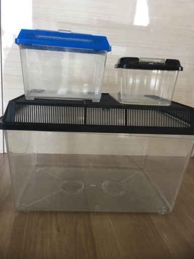 大きな虫かご ケースセット ゆう 鹿児島中央の家具の中古あげます 譲ります ジモティーで不用品の処分 大きな虫かご ケースセット ゆう 鹿児島中央の家具の中古あげます 譲ります ジモティーで不用品の処分