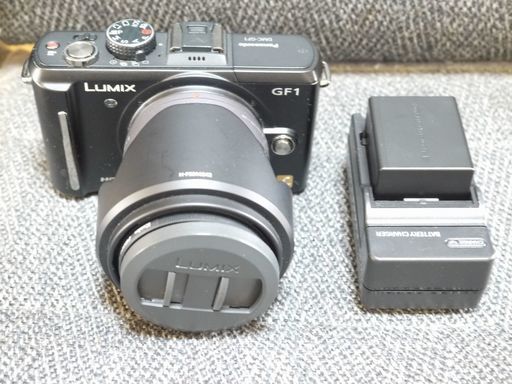 Panasonic パナソニック LUMIX GF1 ミラーレス一眼デジタルカメラ