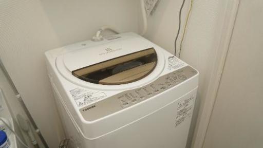 2017年製造 東芝 縦型洗濯機 AW-7G5 洗濯7kg