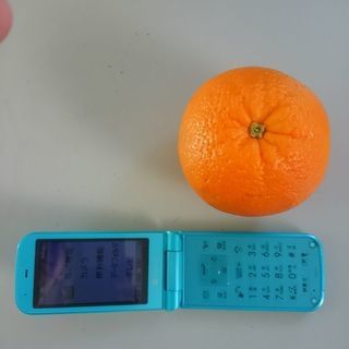 果実　フルーツ　梨　オレンジ　サイズ大