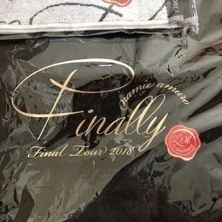 新品未使用 ツアーグッズ セット＋おまけ 安室奈美恵さん