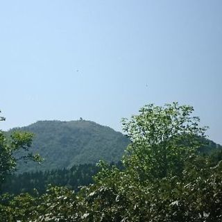 山友募集中