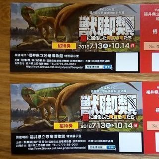 福井県、恐竜博物館『獣脚展』チケット２枚　無料、