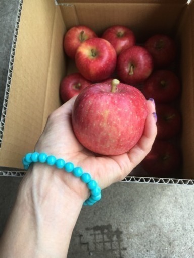 幻のりんご 千秋せんしゅう 超小玉による訳あり 深瀬農園 神町のその他の中古あげます 譲ります ジモティーで不用品の処分