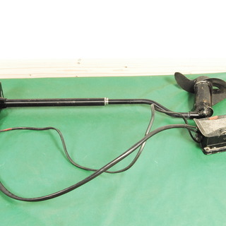 6856　EVINRUDE エビンルード フットエレキ船外機 BF2TS 12V アントレ