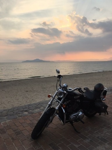 ハーレーダビットソン XL1200 交換可 バイク車両 アメリカン