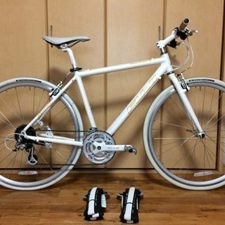 FUJI アブソリュートS   パレット