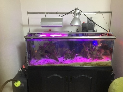 海水魚器具
