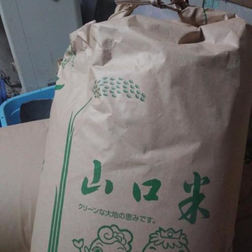農家直送山口県産米きぬむすめ一等米30kg