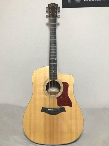 Taylor ギター 210ce (ギグケース付)