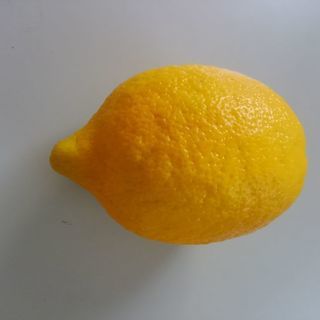 果実　フルーツ　レモン　アメリカ産