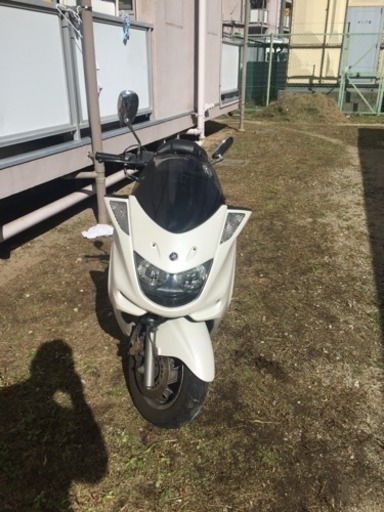 マジェスティ250cc自賠責付き