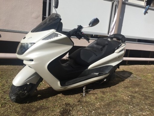 マジェスティC 250 自賠責1年付！ 交換可 マジェスティc 実働自賠責