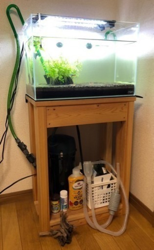 ADA45cm水槽、生体、フィルターほか一式