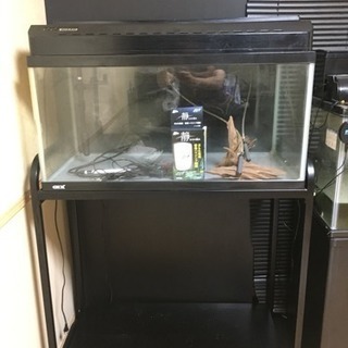 GEX 900✖️45✖️45 即飼育セット