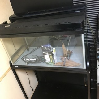 GEX 900✖️45✖️45 即飼育セット